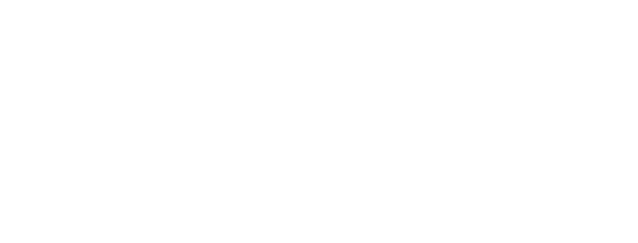 Invest Cape Town